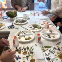 A15CAA9C-9596-4B49-9051-FDE6B6561B36